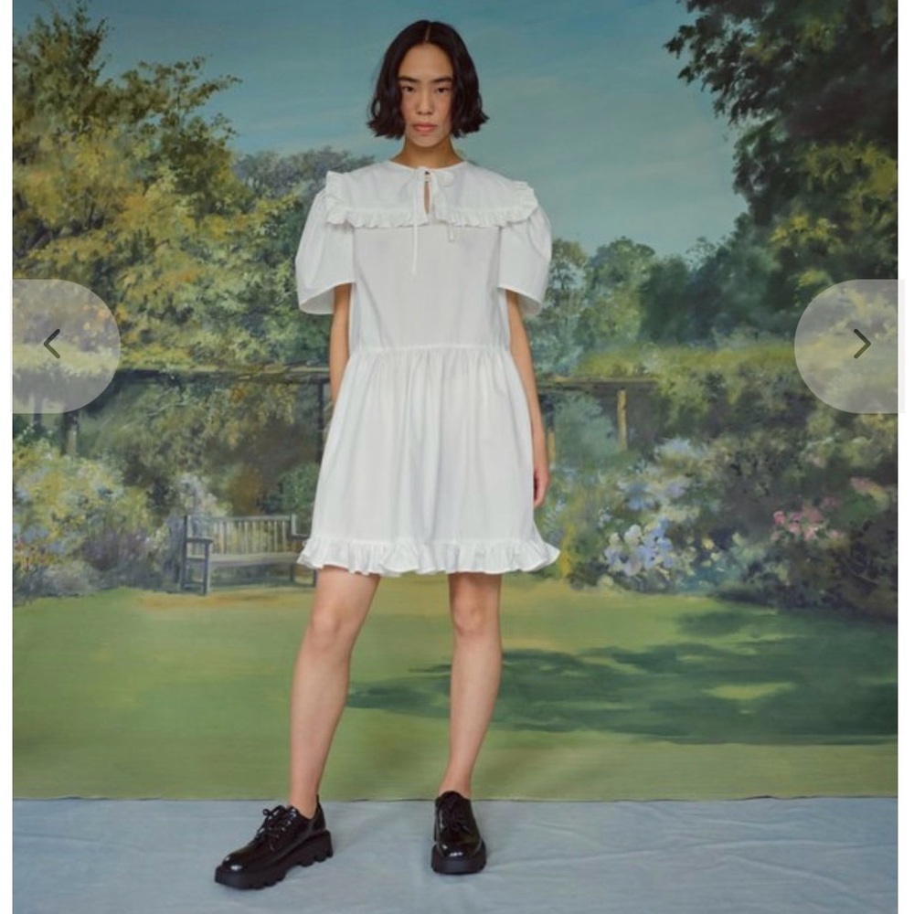 Naya Rea Oriel dress with detachable collar brand new with tags